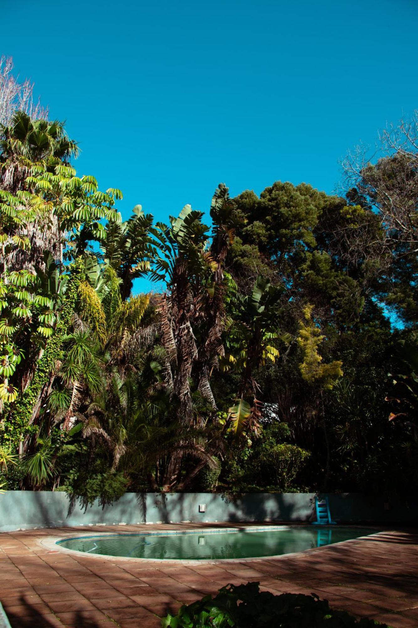 Southern Light Country House Cape Town Exterior photo